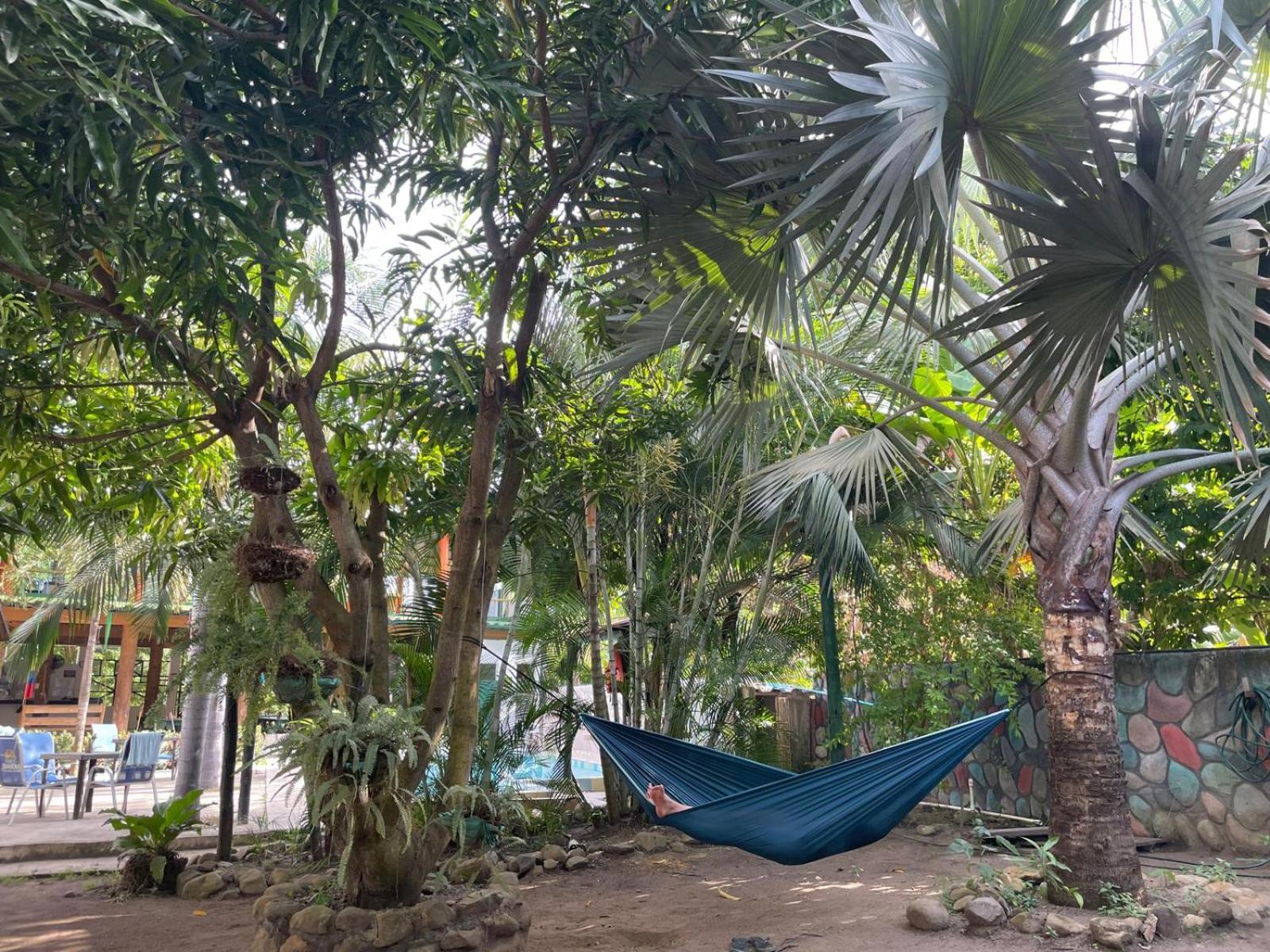 Hostal Luz De Luna بالومينو المظهر الخارجي الصورة