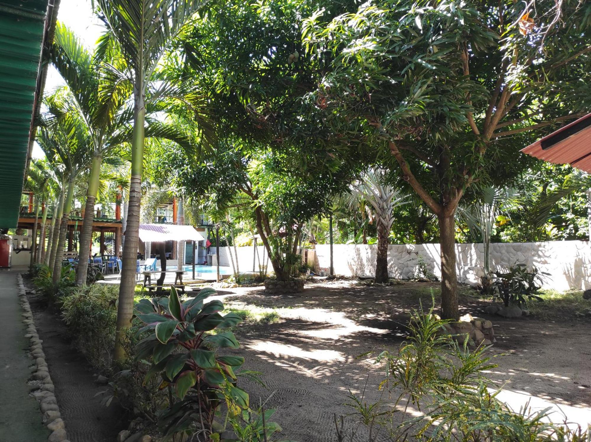 Hostal Luz De Luna بالومينو المظهر الخارجي الصورة