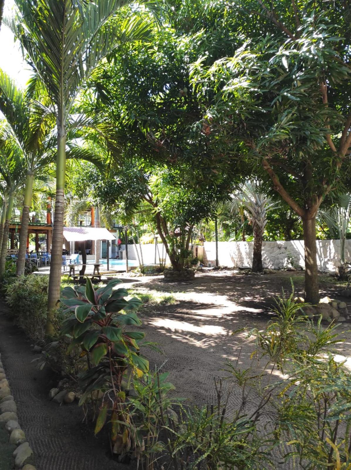 Hostal Luz De Luna بالومينو المظهر الخارجي الصورة